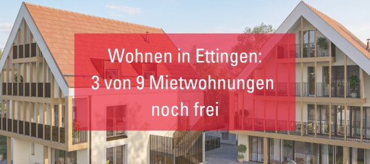 Stoerer Bild Homepage v2