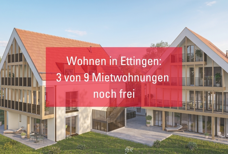 Stoerer Bild Homepage v3