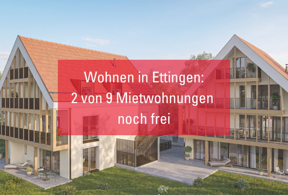 Stoerer Bild Homepage