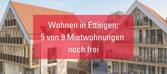 Stoerer Bild Homepage