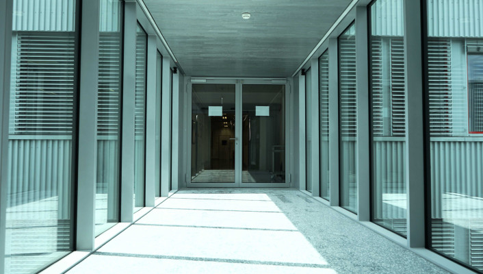 Passerelle Viollier 1