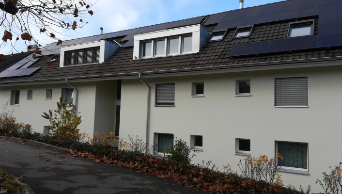 Energetische Dachsanierung Mehrfamilienhaus_Stutzring, Ettingen